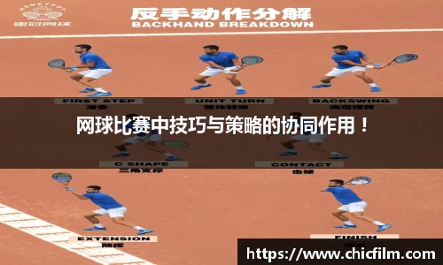 mk体育